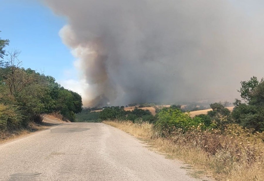 Balıkesir Bigadiç’te arazi yangını