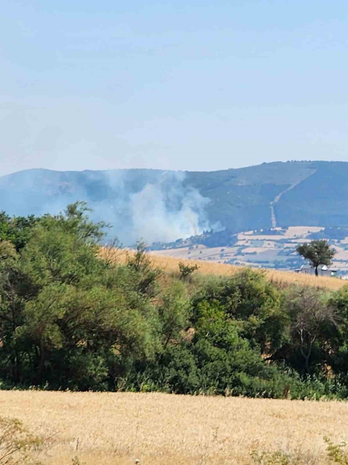 Balıkesir’de orman yangını