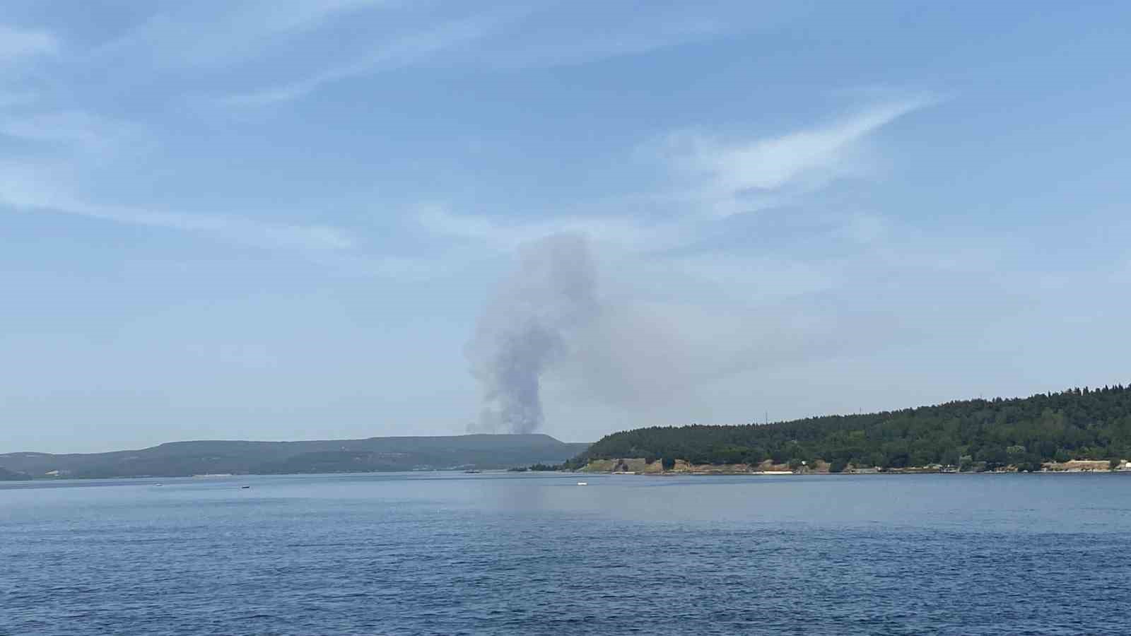 Çanakkale’de orman yangınına havadan ve karadan müdahale ediliyor