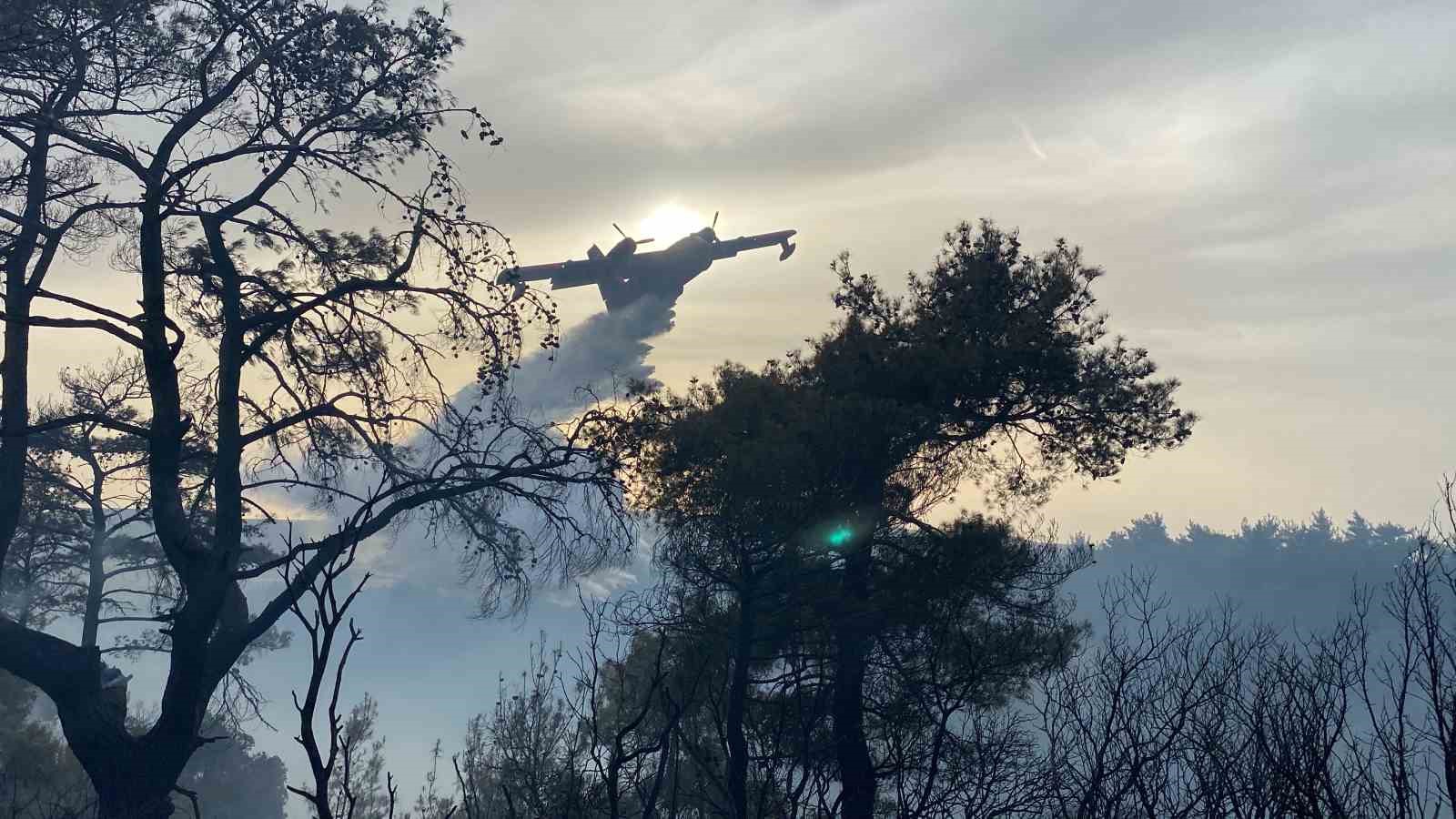 Çanakkale’deki orman yangını 8 saat sonra kontrol altına alındı