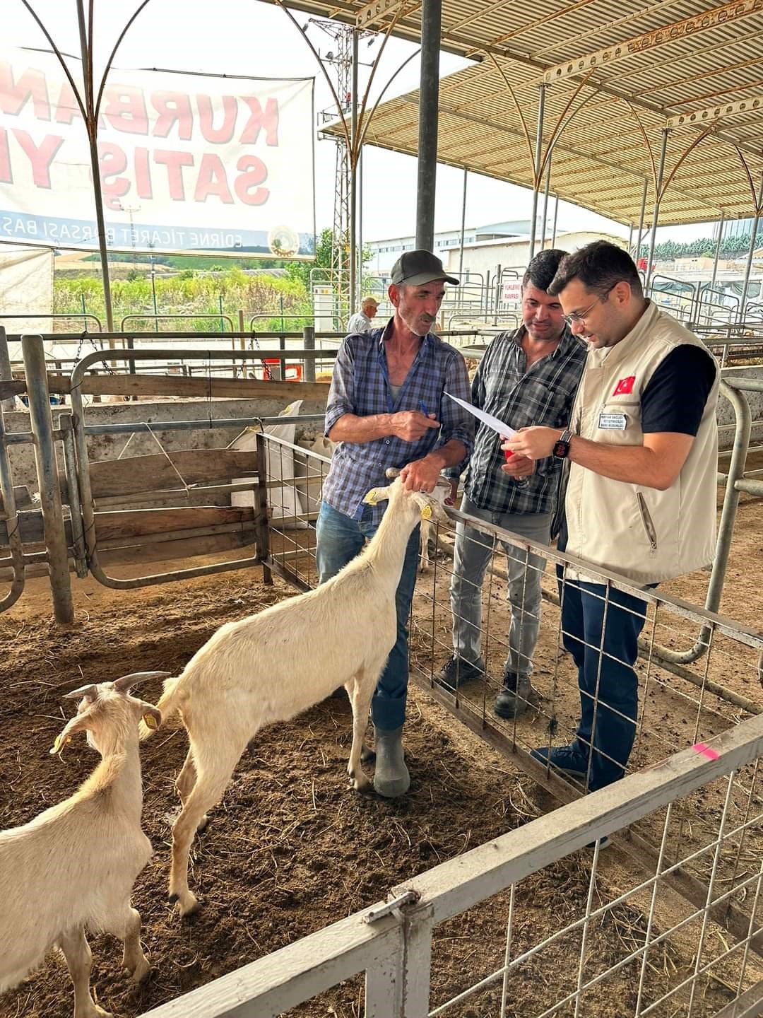 Edirne’de kurban satış yerlerinde denetim