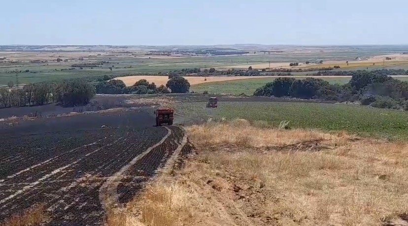 Edirne’de tarım arazisinde başlayan yangın ormana sıçramadan kontrol altına alındı