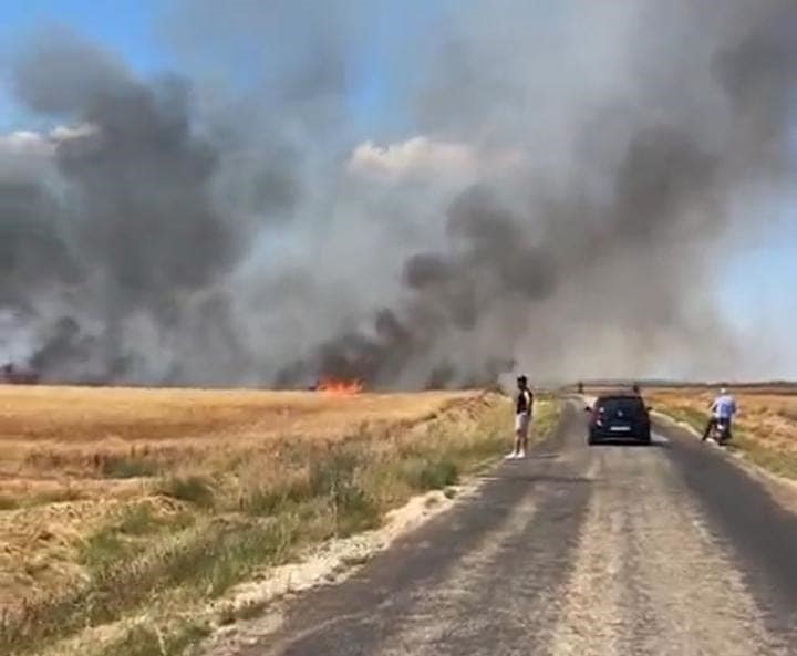 Edirne’de tarla yangını: 50 dönüm buğday küle döndü