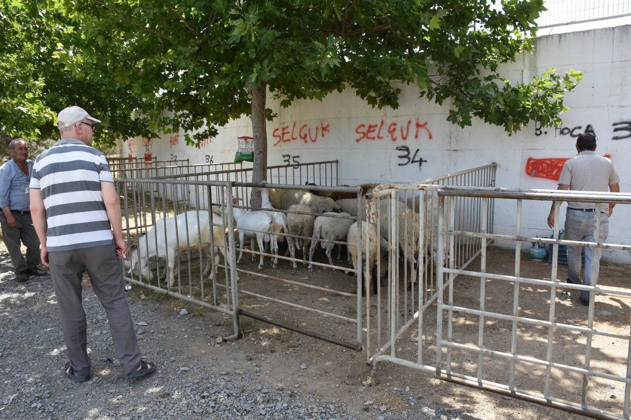 Edremit Kurban Bayramı’na hazır