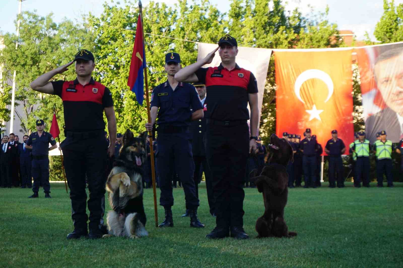 Jandarmanın Taka ve Yama isimli köpekleri gösteri yaptı