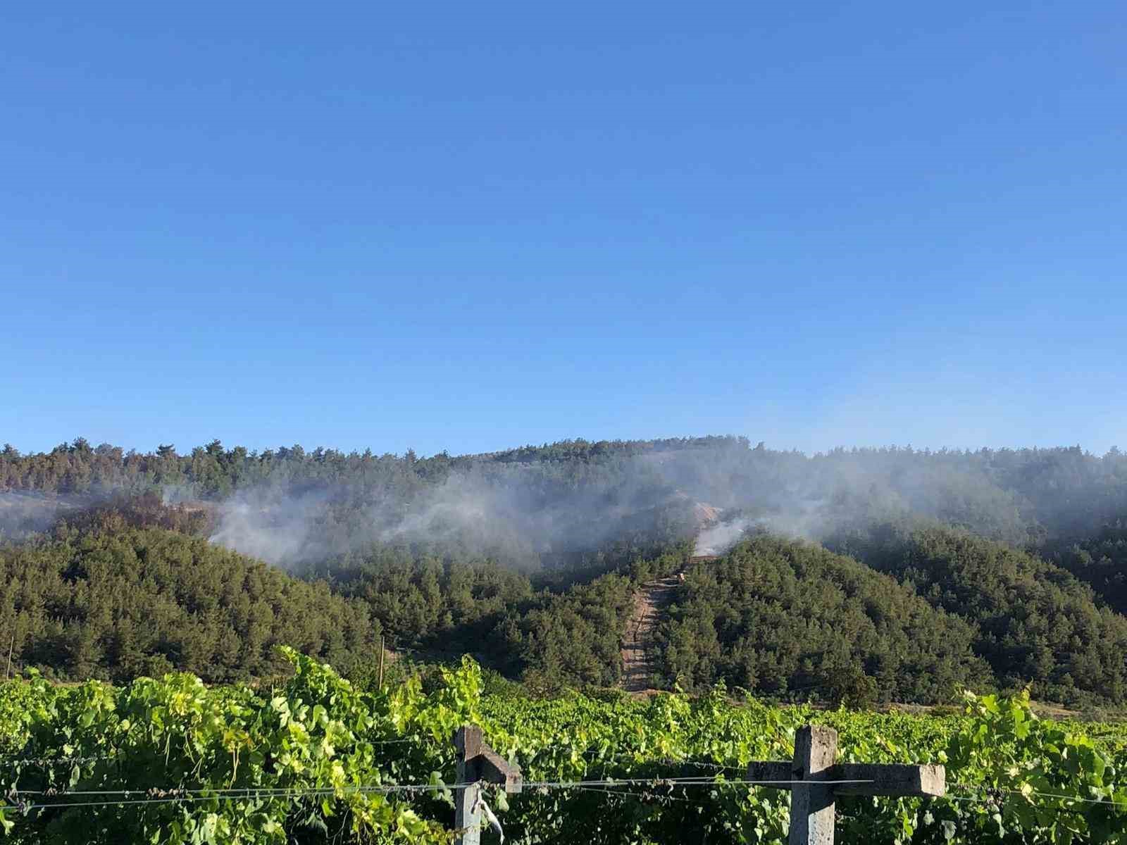 Sakarya’da ormanlık alanda çıkan yangına havadan ve karadan müdahale