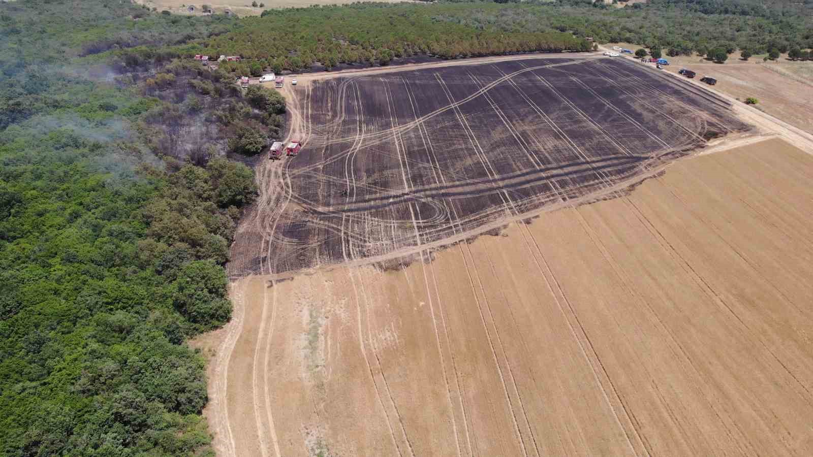 Silivri’de 80 dönümlük arazi, yangında zarar gördü