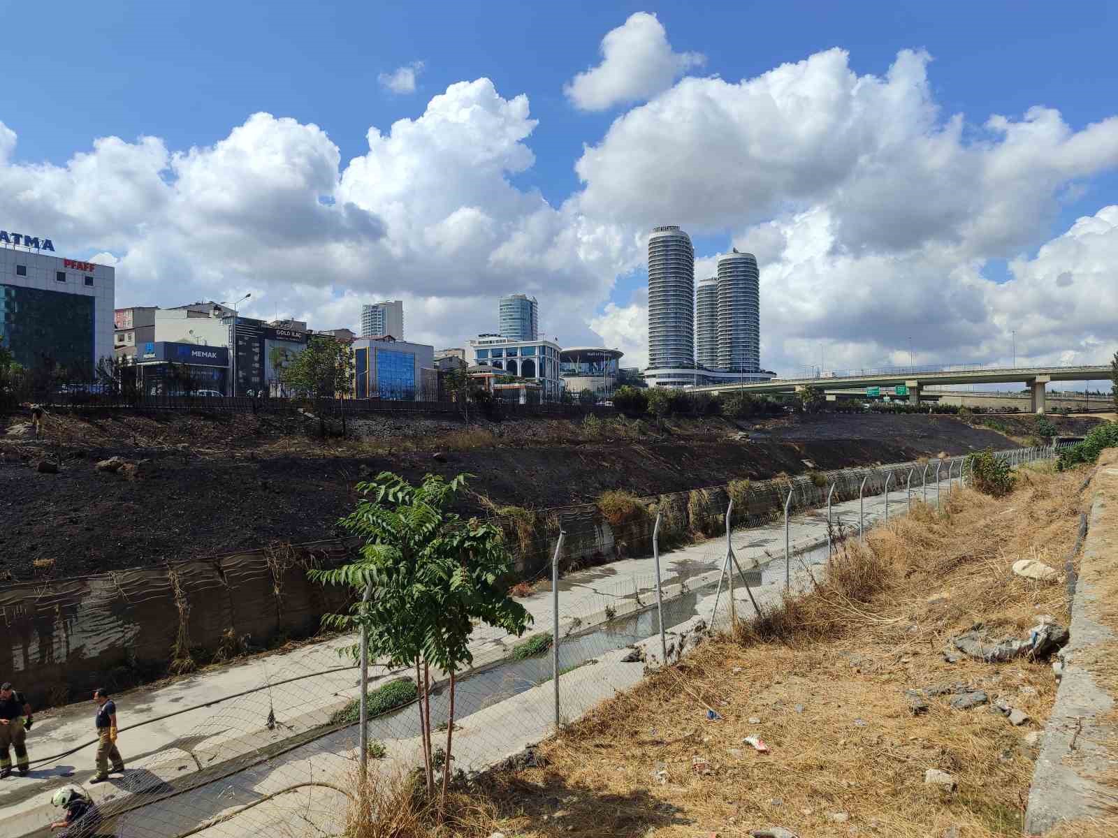 Basın Ekspres Yolu’nda 2 genç yol kenarında bulunan otları ve ağaçları yakıp kaçtı