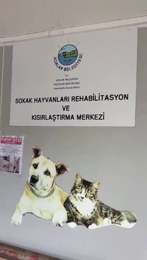 Büyükada Rehabilitasyon Merkezi’nde ’hayvanlara bakılmıyor’ iddiası