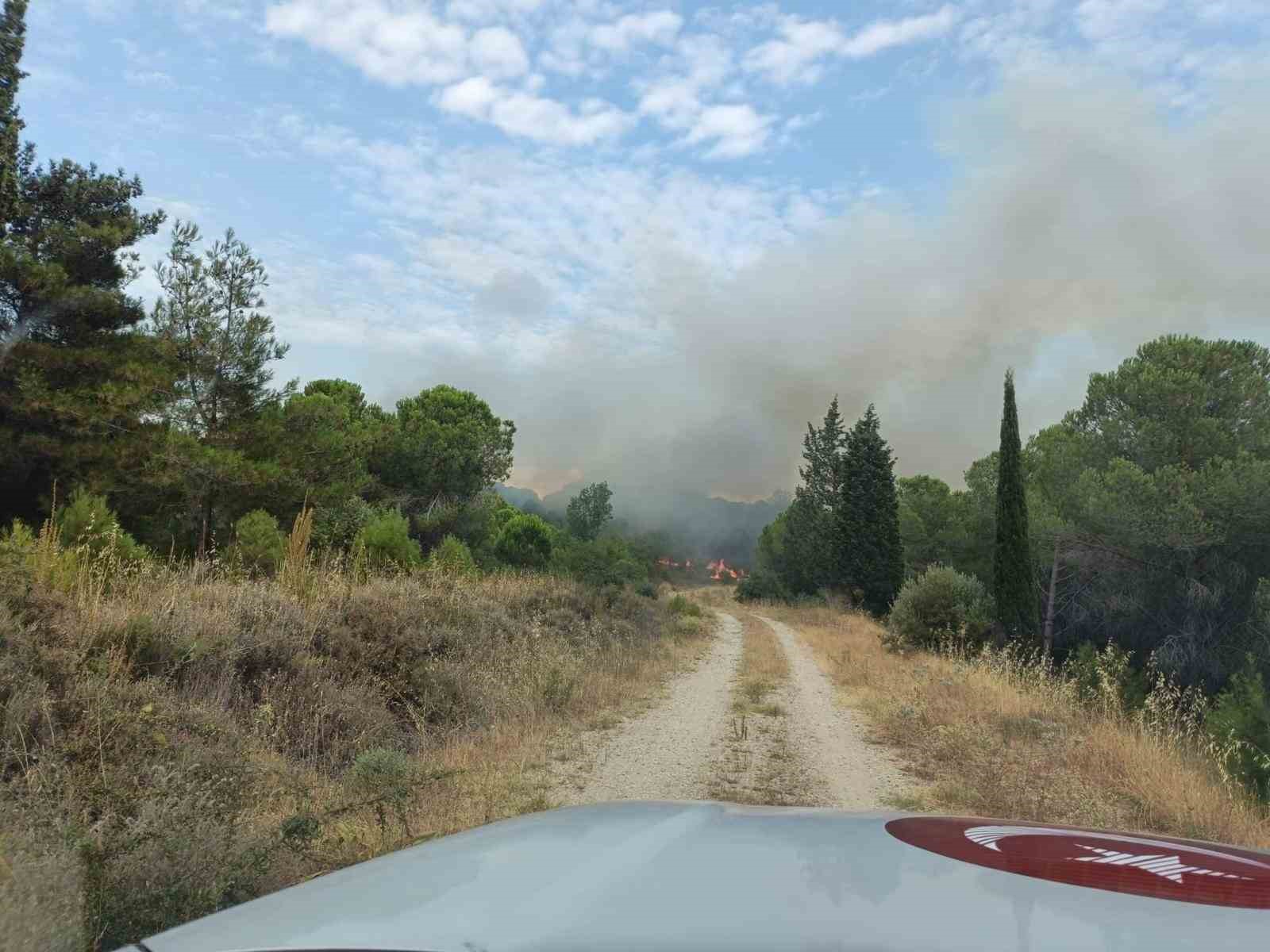 Çanakkale’deki orman yangını kontrol altına alındı