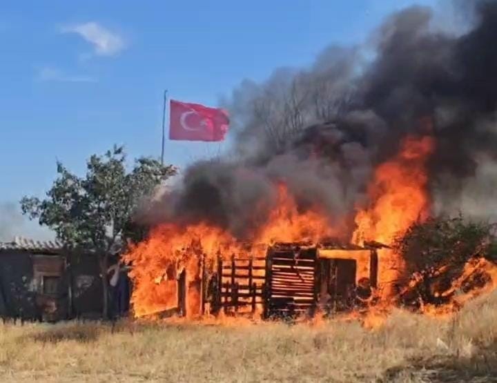 Edirne’de ağıl ve tarım arazileri alev alev yandı