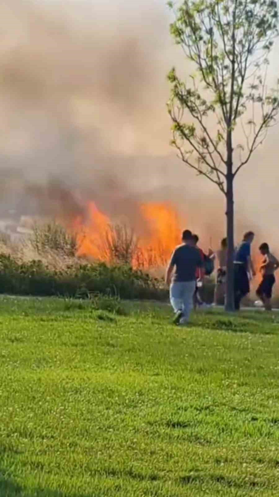 Kartal’da otluk alanda çıkan yangın korkuttu