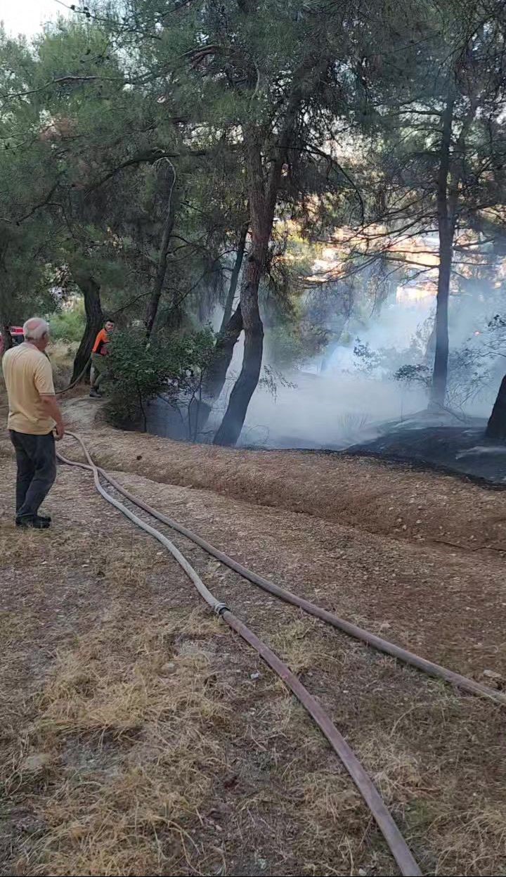 Piknik alanında çıkan yangın ormana sıçramadan söndürüldü