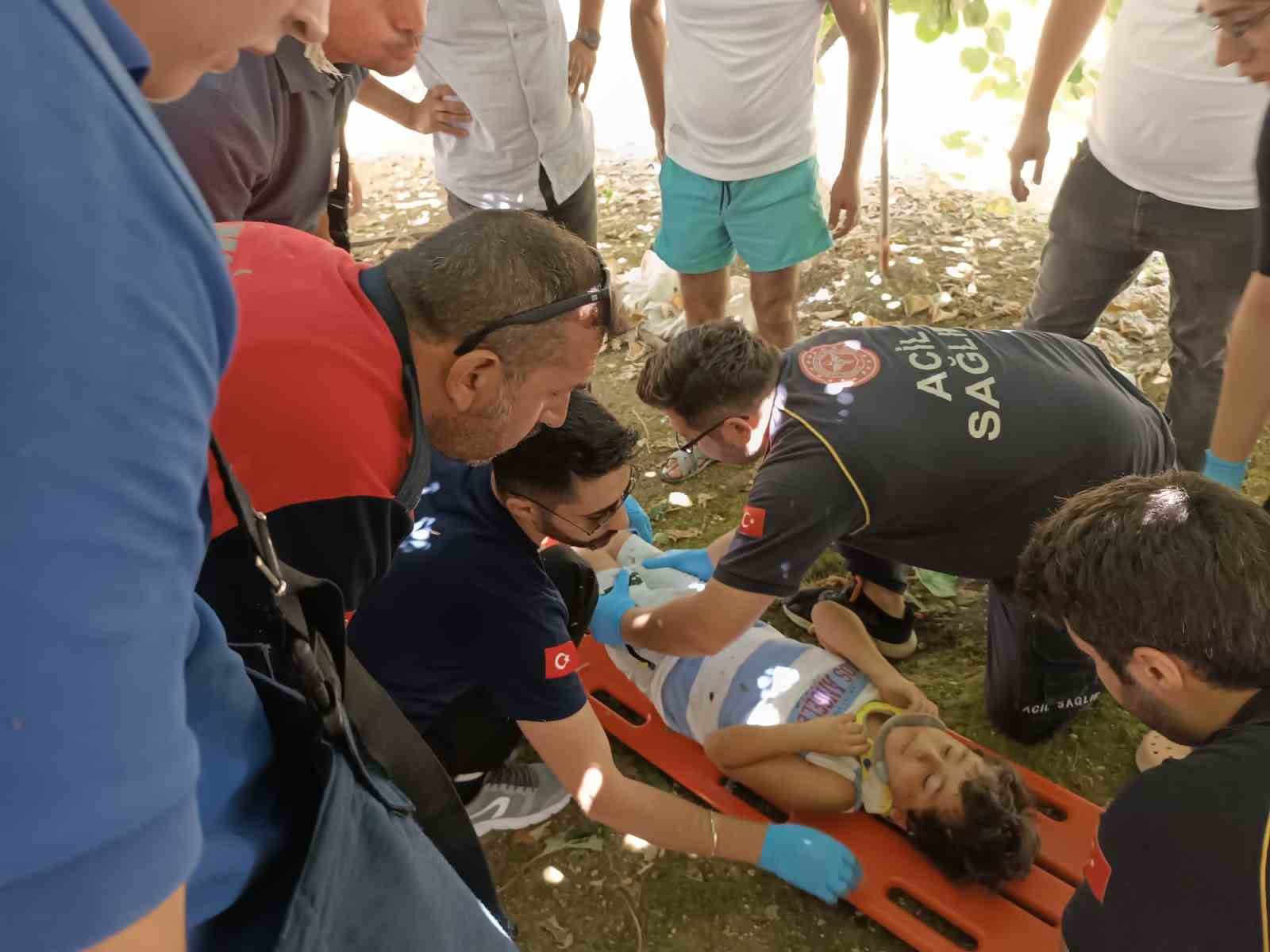 Yalova’da 5’inci kattan düşen çocuğu kivi asması kurtardı