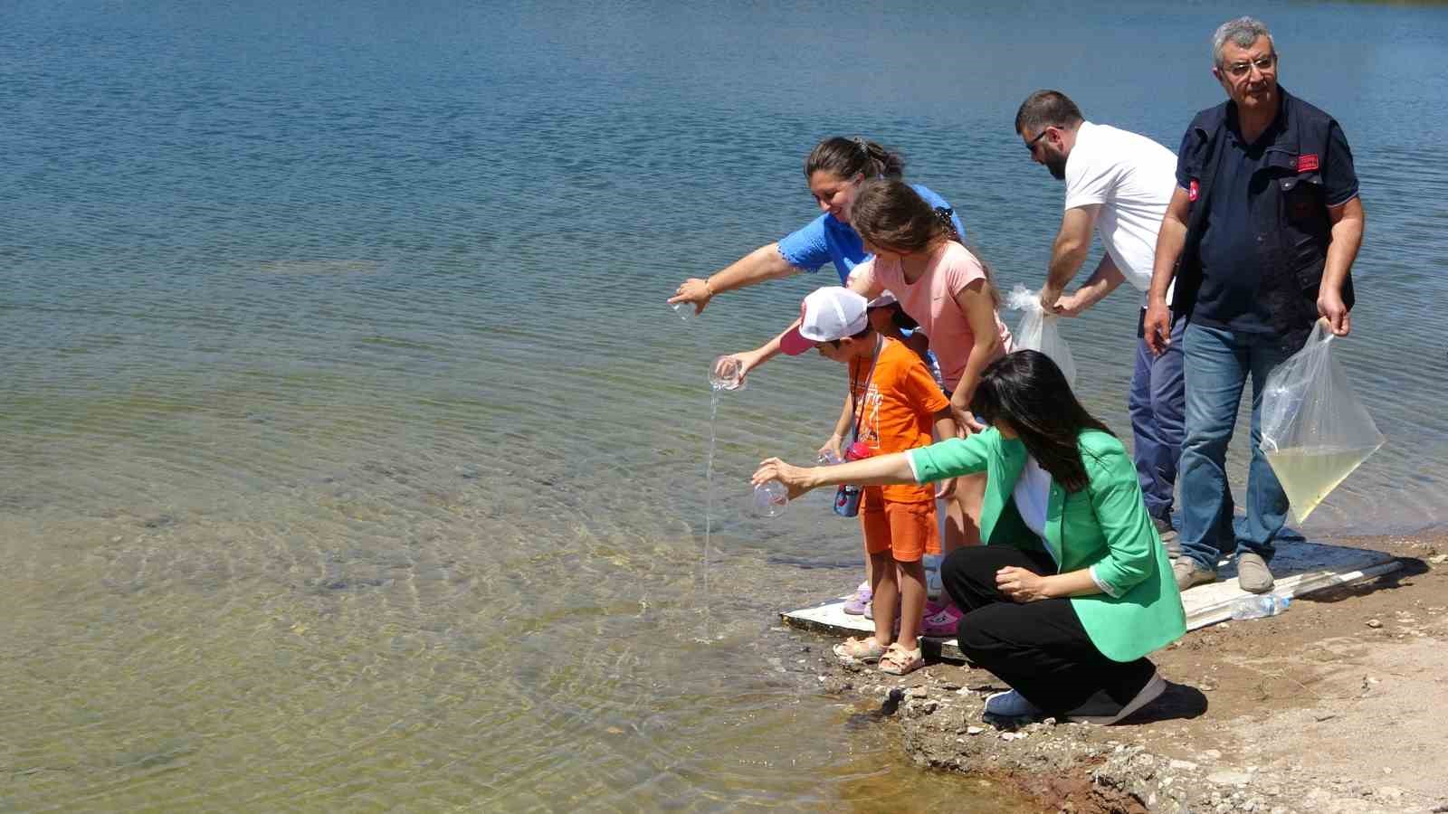 Çanakkale’de baraj ve göletlere 1 milyon 750 bin sazan yavrusu bırakıldı