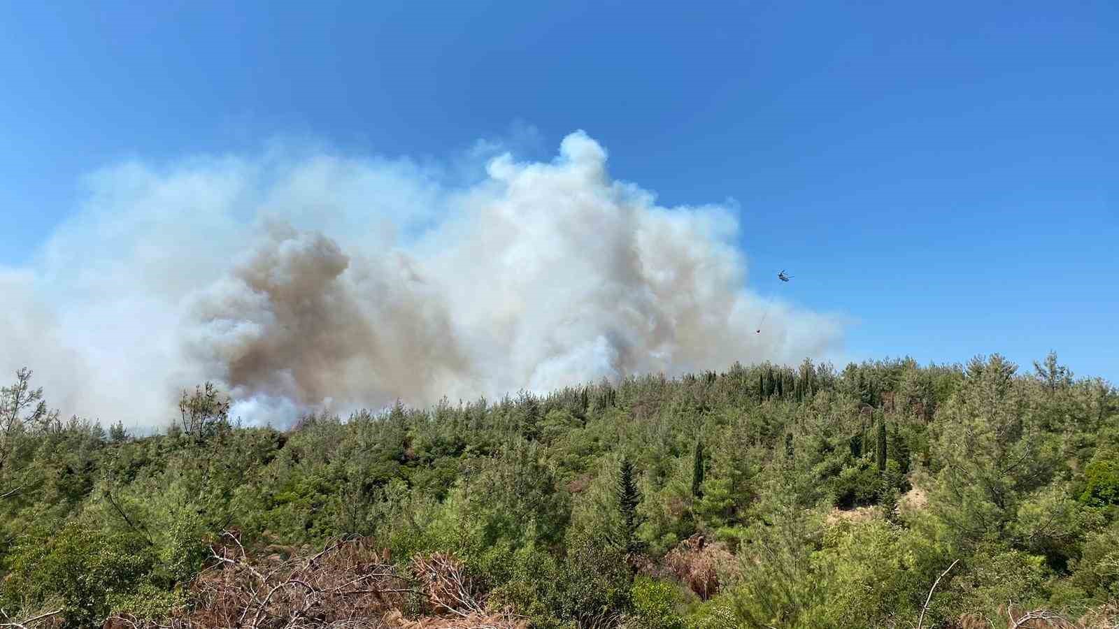 Çanakkale’deki orman yangınına havadan ve karadan müdahale sürüyor