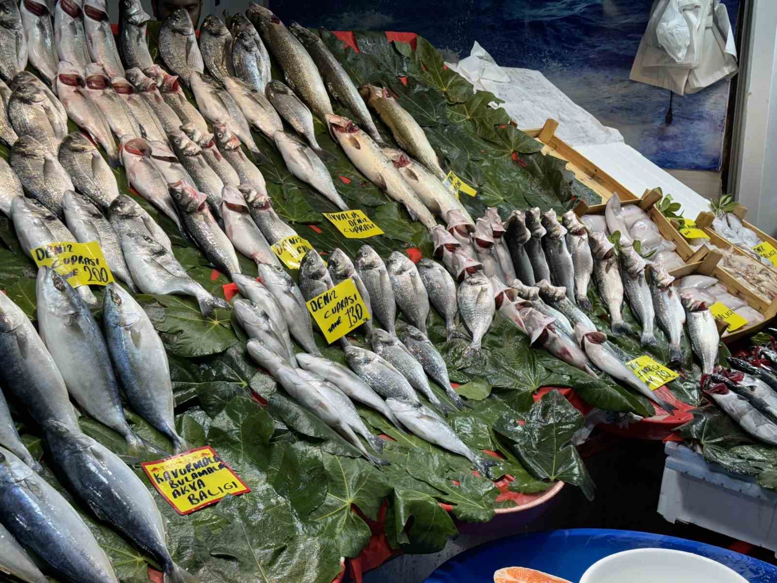 Balık sezonu açıldı: İstanbul’da balıklar tezgahlardaki yerini aldı