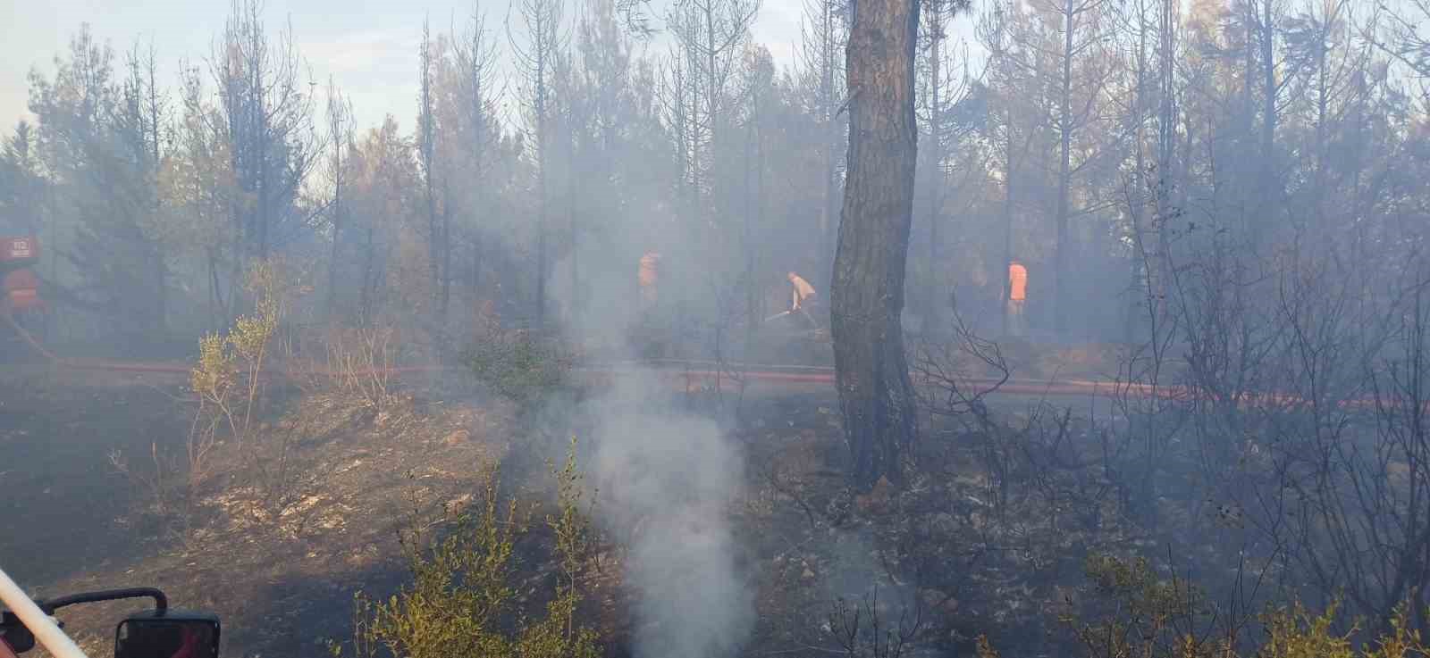 Çanakkale’daki orman yangını kontrol altına alındı