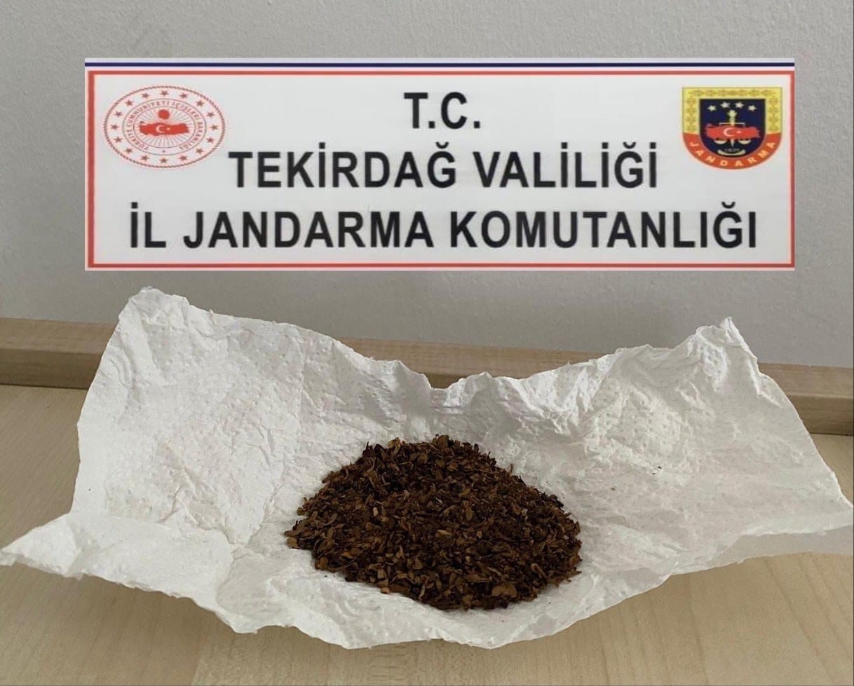 Tekirdağ’da Jandarma operasyonları: Uyuşturucu ve silah ele geçirildi