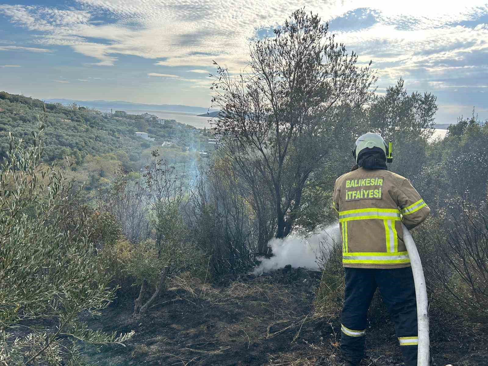 Erdek’te yangın: 10 dönümlük zeytinlik kül oldu