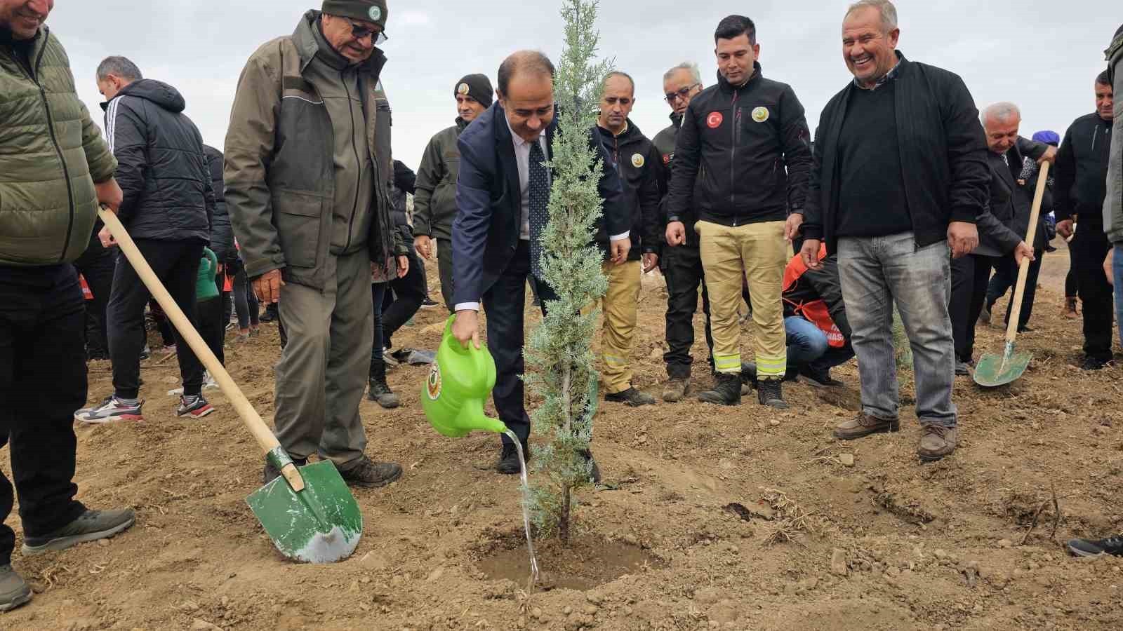 Bandırma’da yanan alanda 750 çam fidanı toprakla buluştu