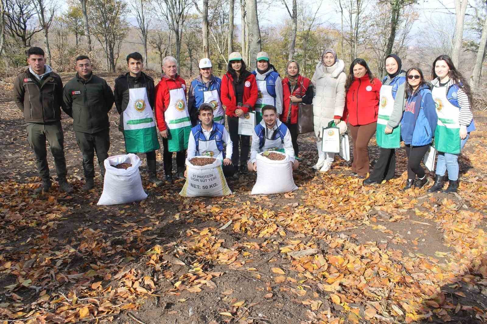 Manyas’ta 200 kilo kayın tohumu toprakla buluştu