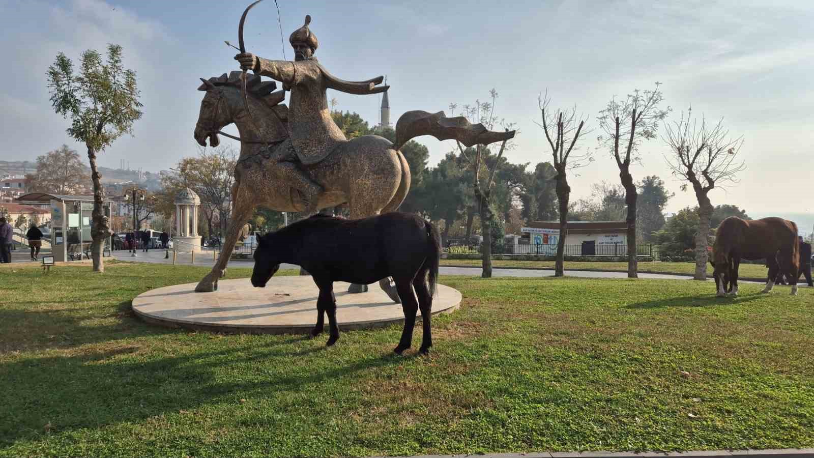 Tekirdağ’da atlı heykeli mesken tutan başıboş atlar ilgi odağı oldu