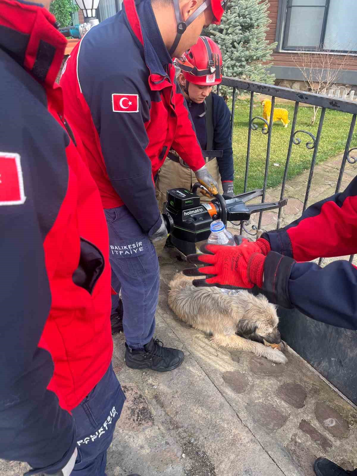 Balıkesir’de bahçe kapısına sıkışan köpek kurtarıldı