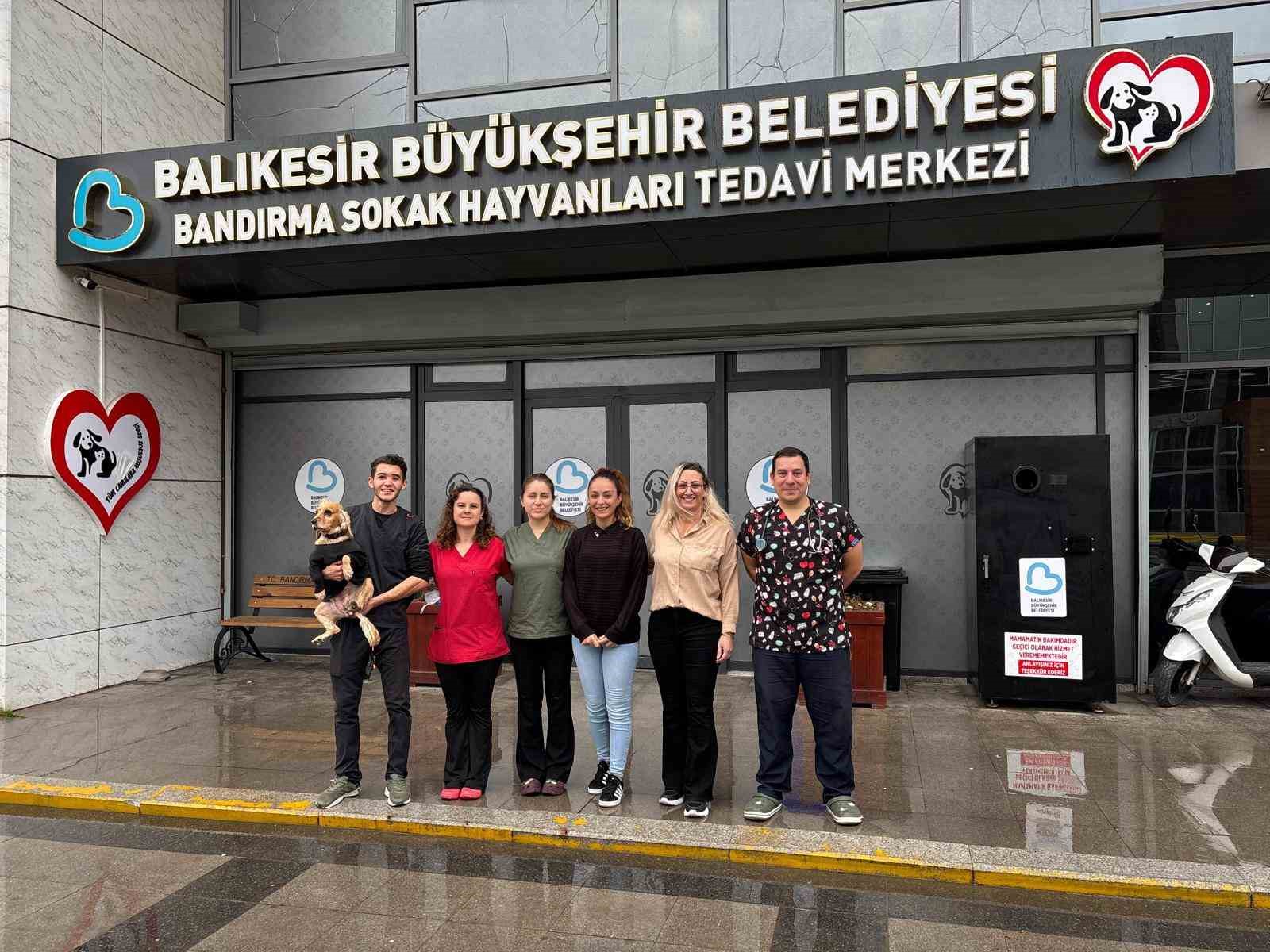 Bandırma Sokak Hayvanları Tedavi Merkezi 13 bin 459 hayvana şifa dağıttı