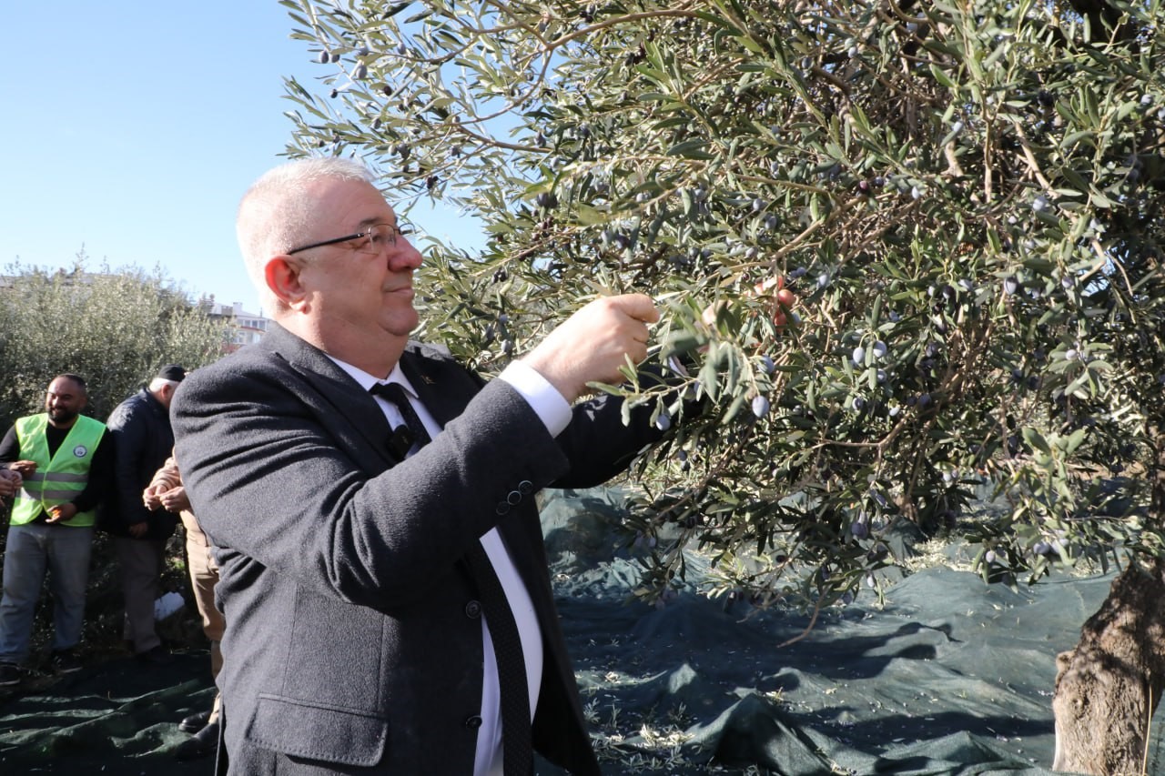 Edremit Belediye Başkanı Mehmet Ertaş “Tek bir zeytin tanesi heba olmuyor”