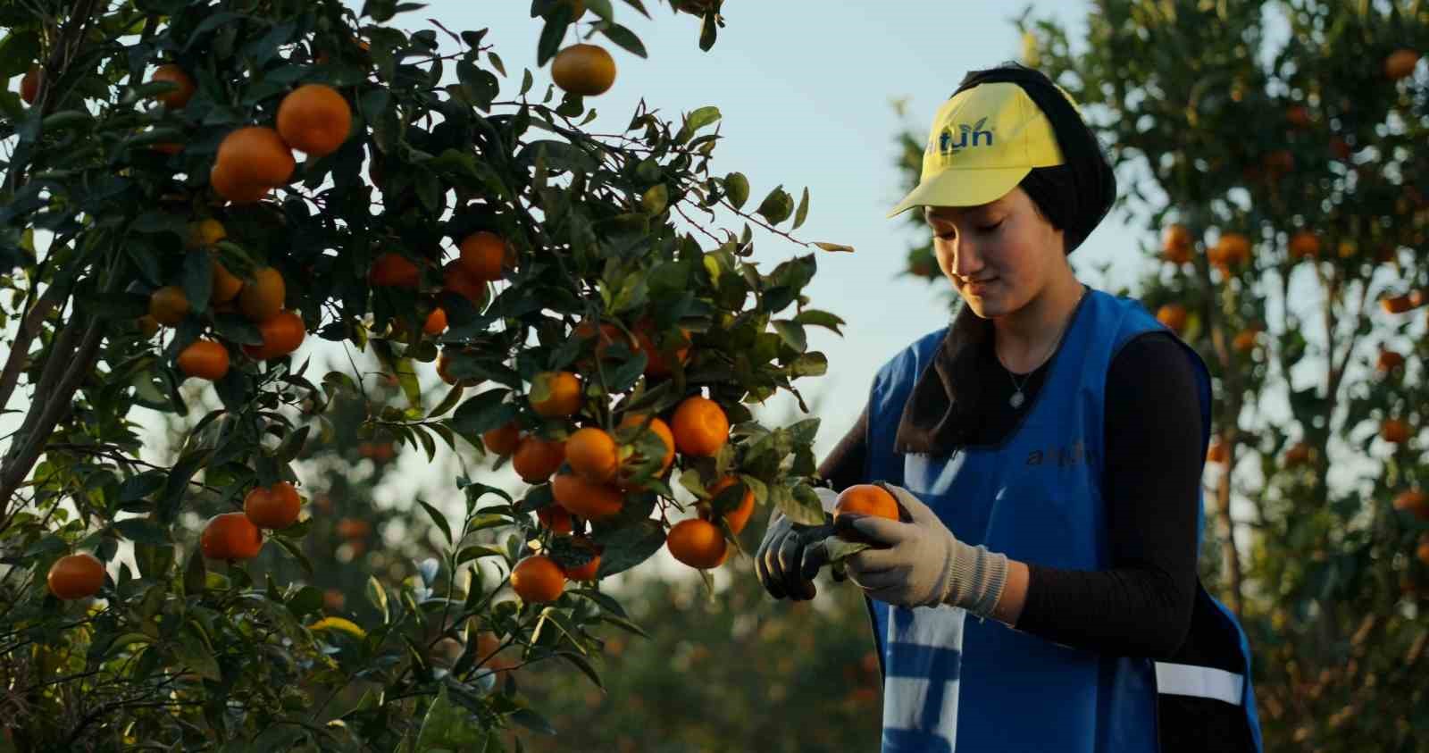 Yaş meyve ve sebze ihracat rekortmeni Altun’dan halka arz başvurusu